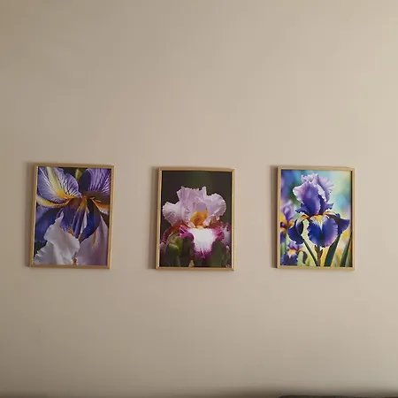 за гости ирис Iris Guest Veliko Tărnovo