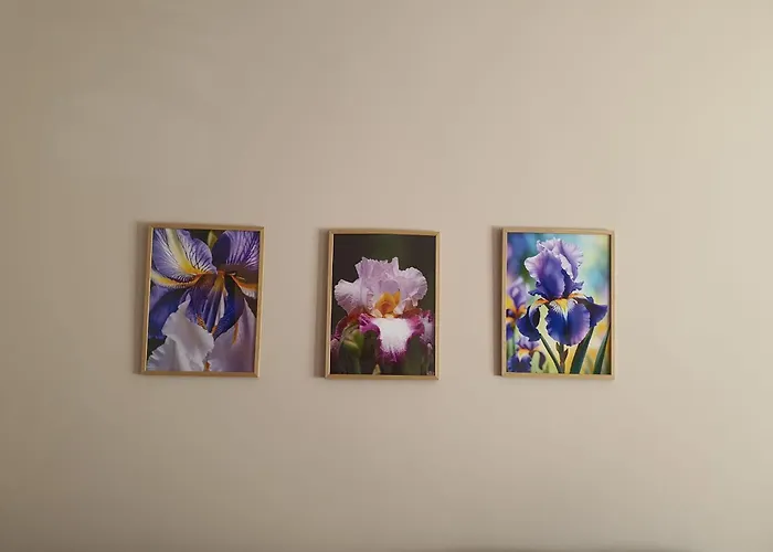 за гости ирис Iris Guest Veliko Tarnovo